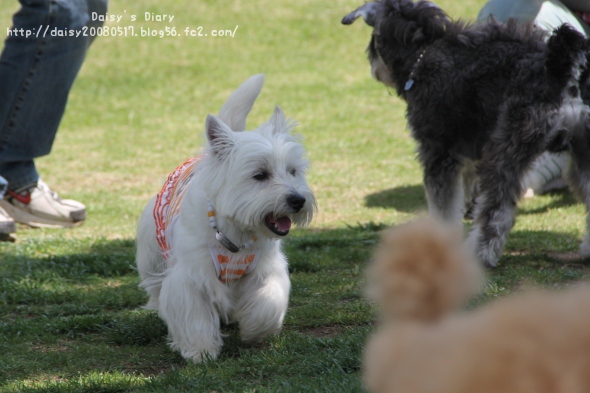2012043009.jpg