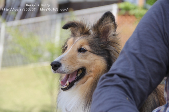 2012043013.jpg