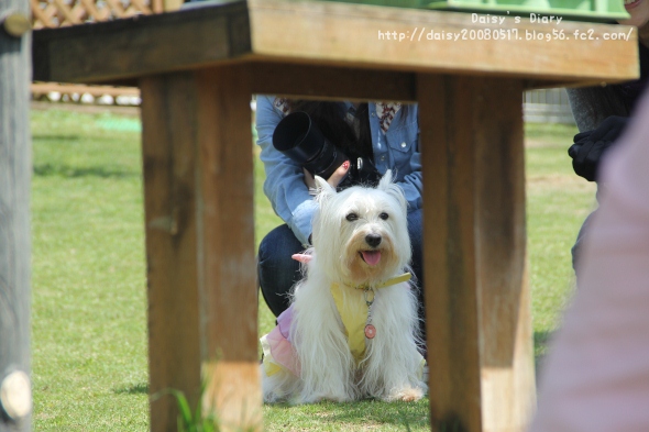 2012043014.jpg