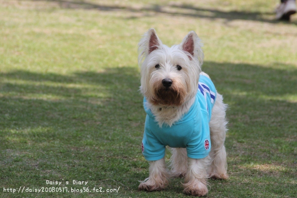 2012043015.jpg