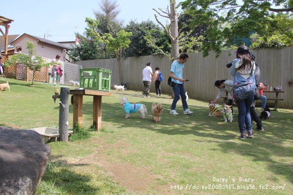 2012043016.jpg