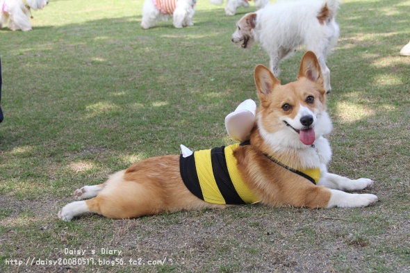2012043017.jpg