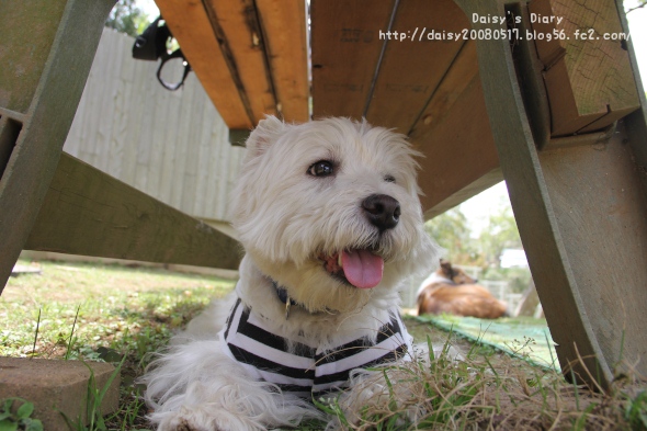 2012043019.jpg