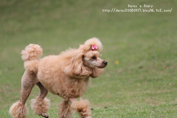 2012050101.jpg