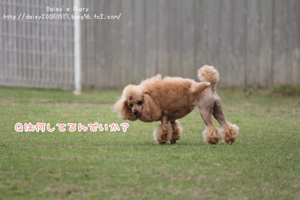 2012050103.jpg