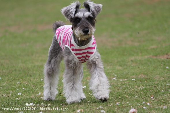 2012050107.jpg