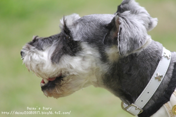 2012050108.jpg