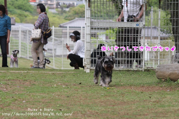 2012050109.jpg