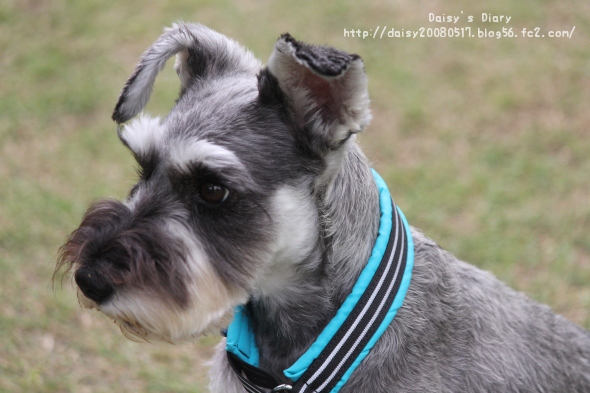 2012050110.jpg