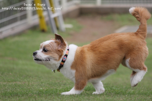2012050112.jpg