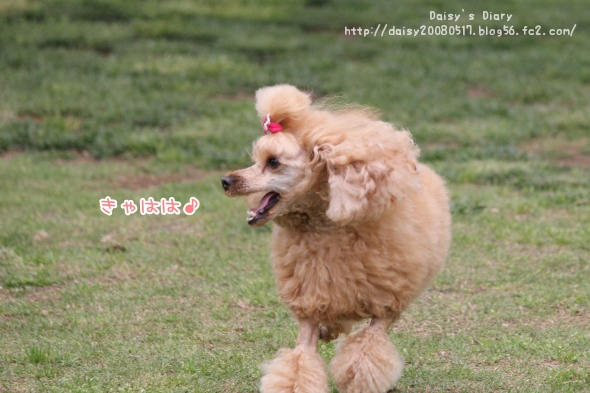 2012050114.jpg