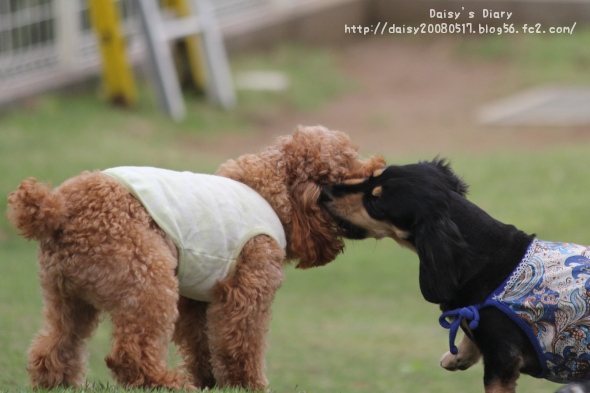 2012050117.jpg