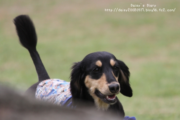2012050118.jpg