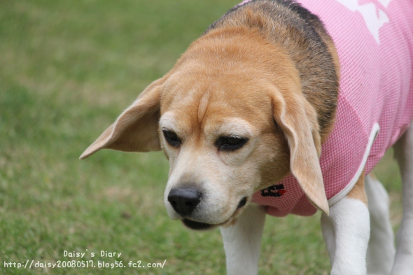 2012050120.jpg