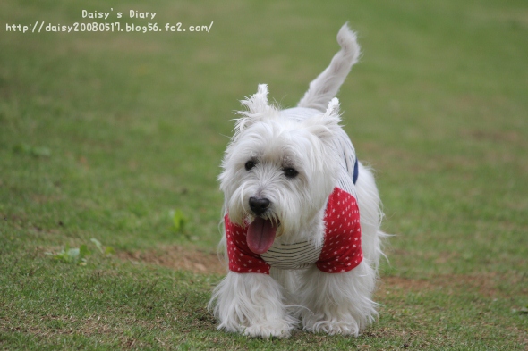 2012050121.jpg