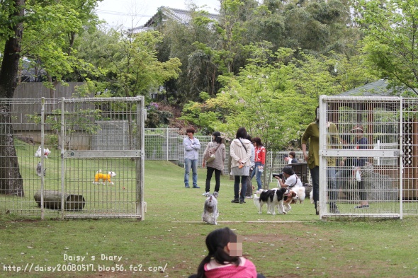 2012050122.jpg