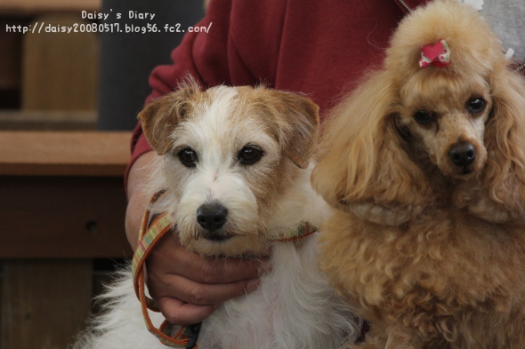 2012050124.jpg