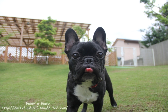 2012050501.jpg
