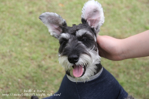 2012050502.jpg