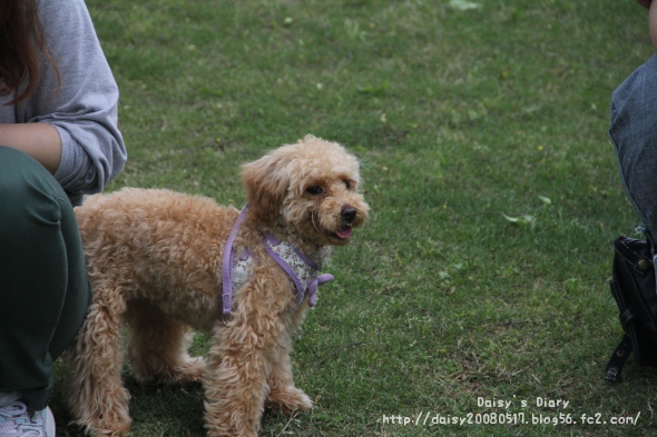 2012050503.jpg