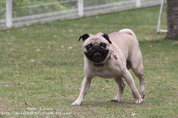 2012050504.jpg