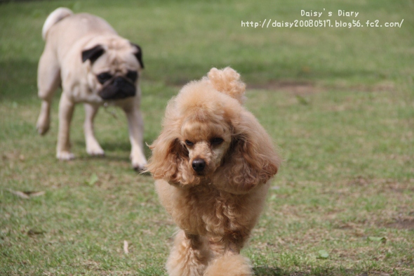 2012050505.jpg