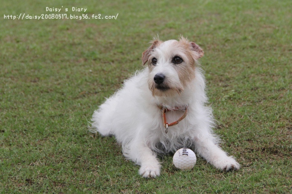 2012050506.jpg