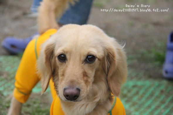 2012050507.jpg