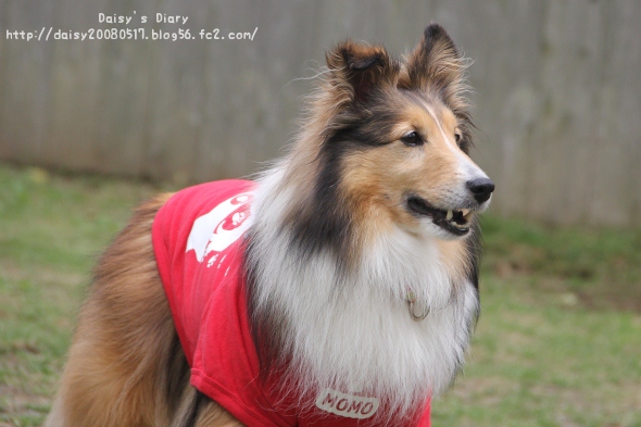 2012050508.jpg