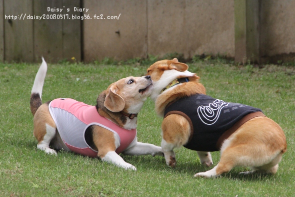 2012050509.jpg