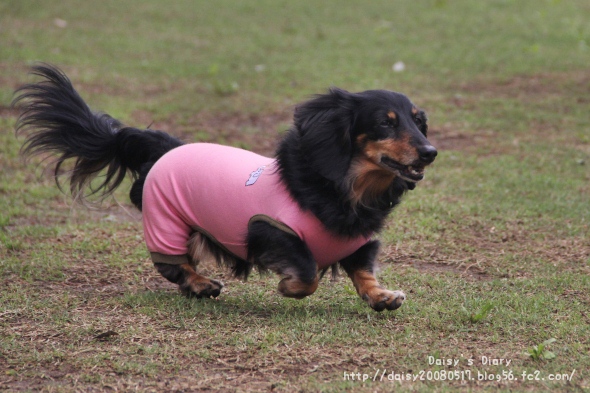 2012050510.jpg