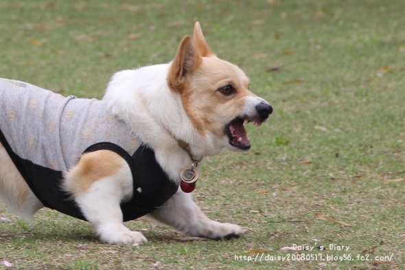 2012050511.jpg