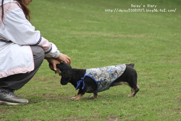 2012050512.jpg