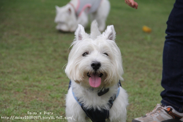 2012050513.jpg