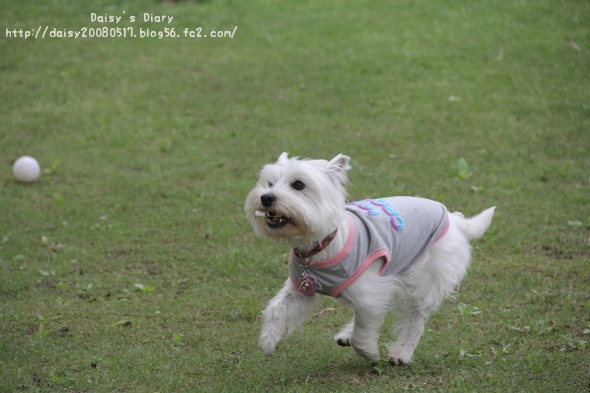 2012050514.jpg