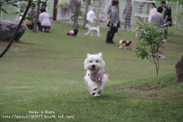 2012050515.jpg