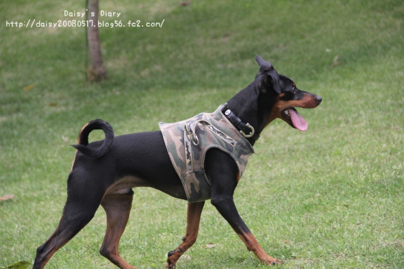 2012050516.jpg
