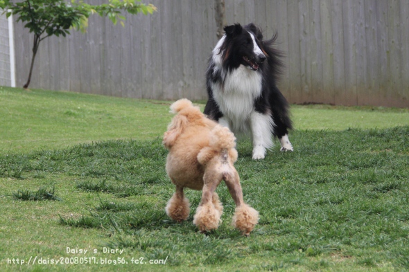 2012050518.jpg