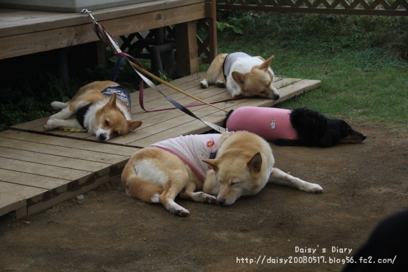 2012050520.jpg