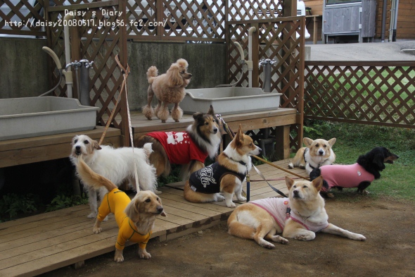 2012050521.jpg