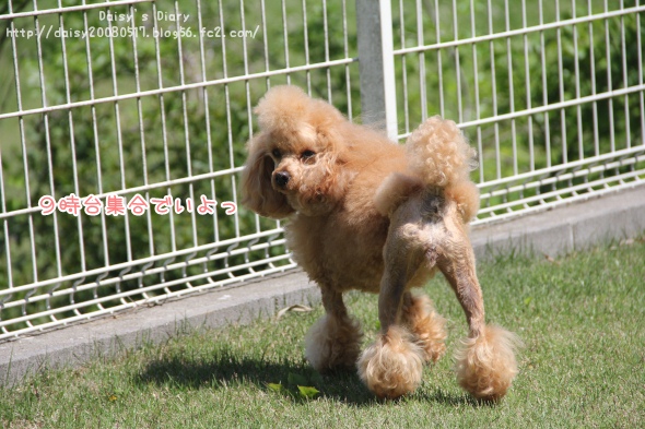 2012050601.jpg