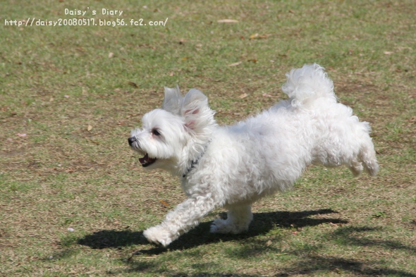 2012050602.jpg