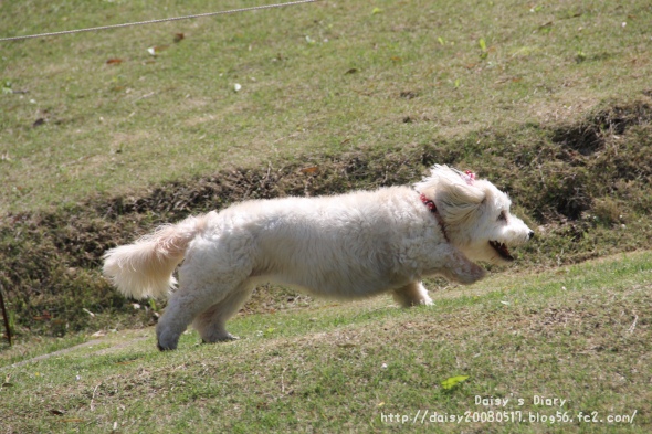 2012050603.jpg
