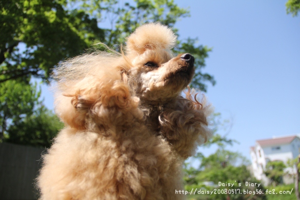 2012050604.jpg