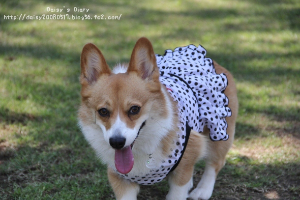 2012050606.jpg
