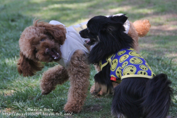 2012050609.jpg