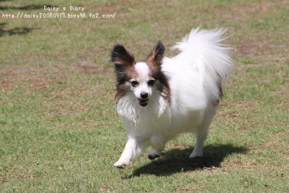 2012050610.jpg