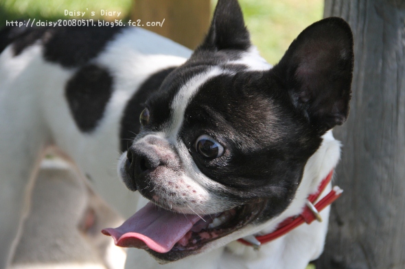 2012050611.jpg