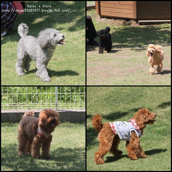 2012050612.jpg
