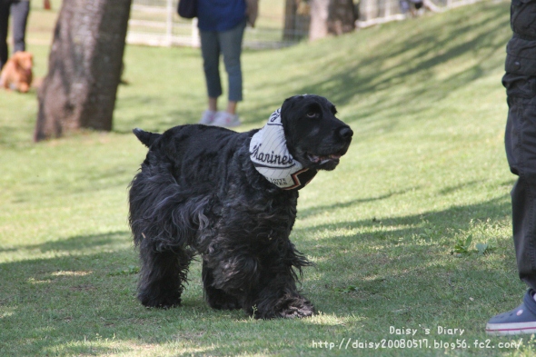 2012050615.jpg